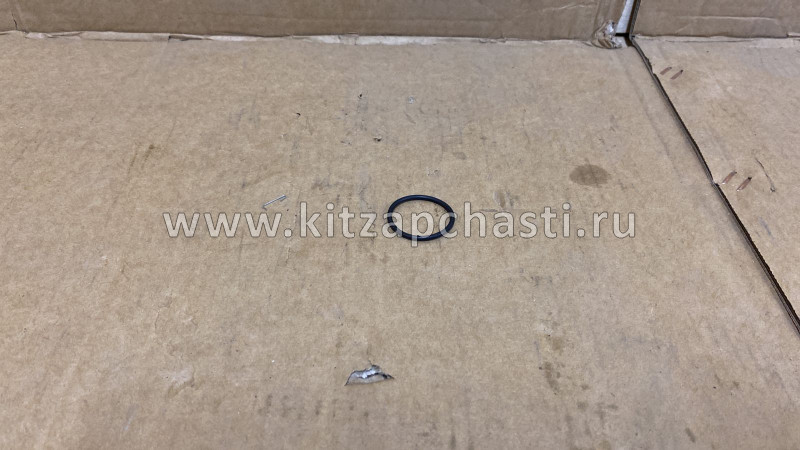 КОЛЬЦО УПЛОТНИТЕЛЬНОЕ Geely MK, MK CROSS 3170121601