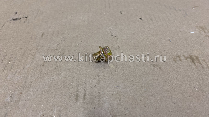 Пробка сливная ДВС Chery QQ 3721009014